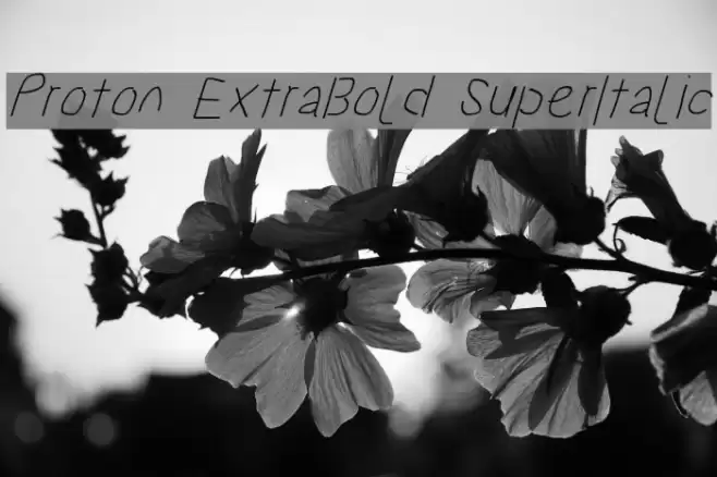 Proton ExtraBold SuperItalic Font examples