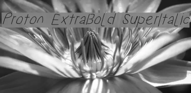 Proton ExtraBold SuperItalic Font examples