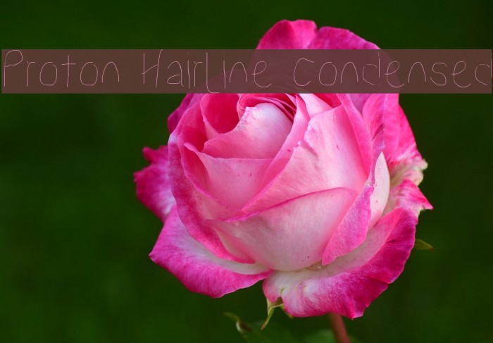 Proton Hairline Condensed Font examples