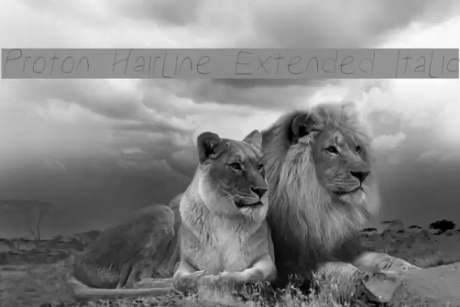Proton Hairline Extended Italic Font examples