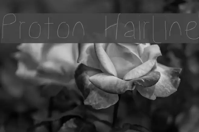 Proton Hairline Font examples