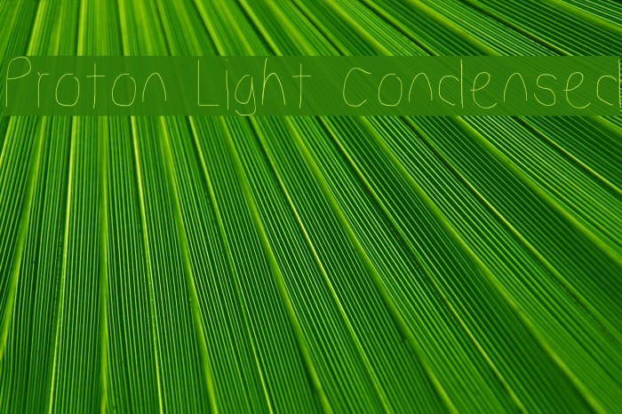 Proton Light Condensed Font examples