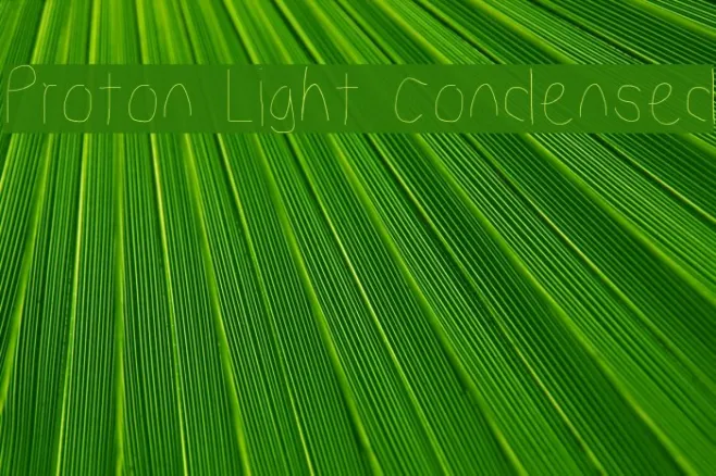 Proton Light Condensed Example 3