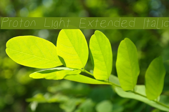 Proton Light Extended Italic Font examples