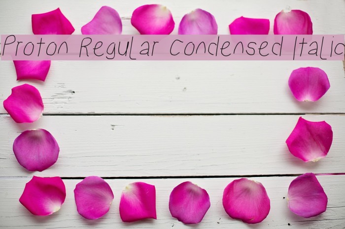 Proton Regular Condensed Italic Example 1