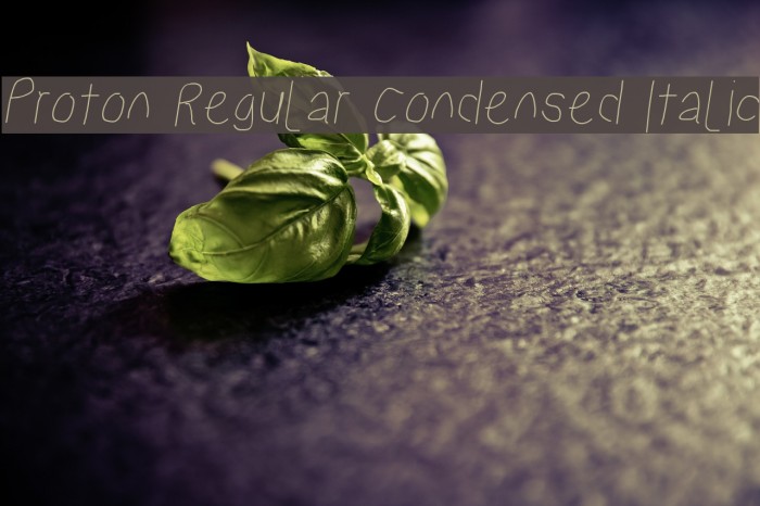 Proton Regular Condensed Italic Example 2