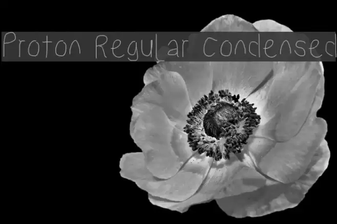 Proton Regular Condensed Font examples