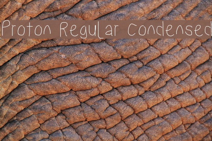 Proton Regular Condensed Font examples