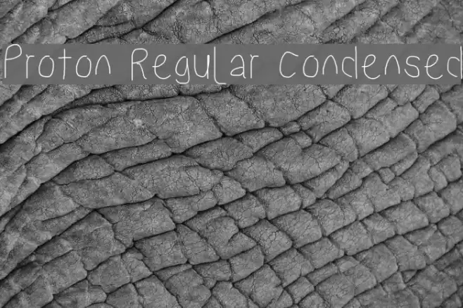 Proton Regular Condensed Font examples