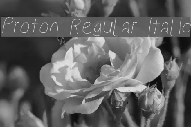 Proton Regular Italic  examples