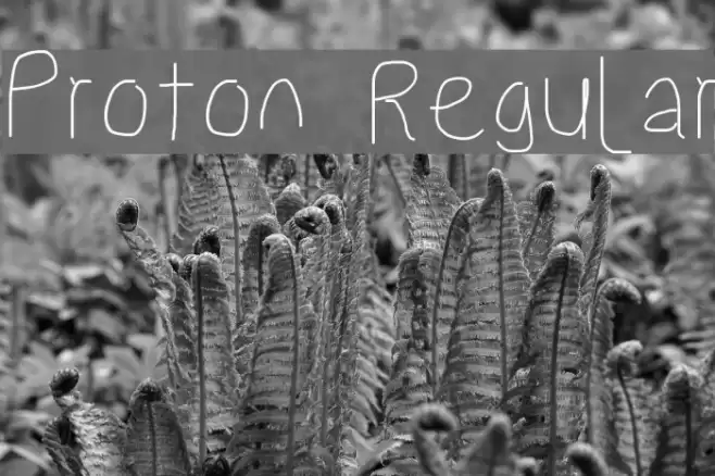 Proton Regular Font examples