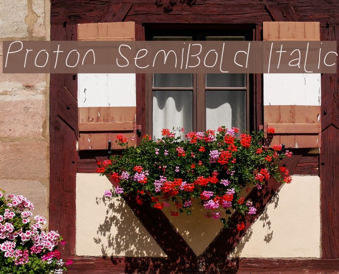 Proton SemiBold Italic Example 1