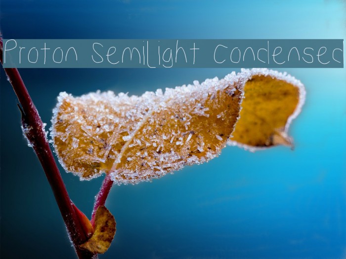 Proton Semilight Condensed Example 1