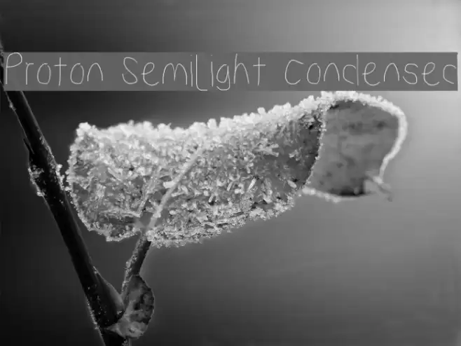 Proton Semilight Condensed Font examples