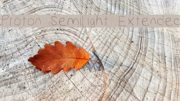 Proton Semilight Extended Font examples