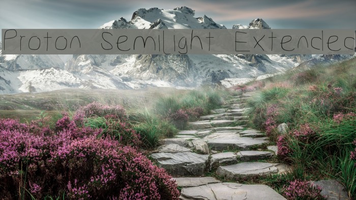 Proton Semilight Extended Font examples