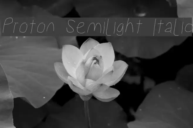 Proton Semilight Italic  examples