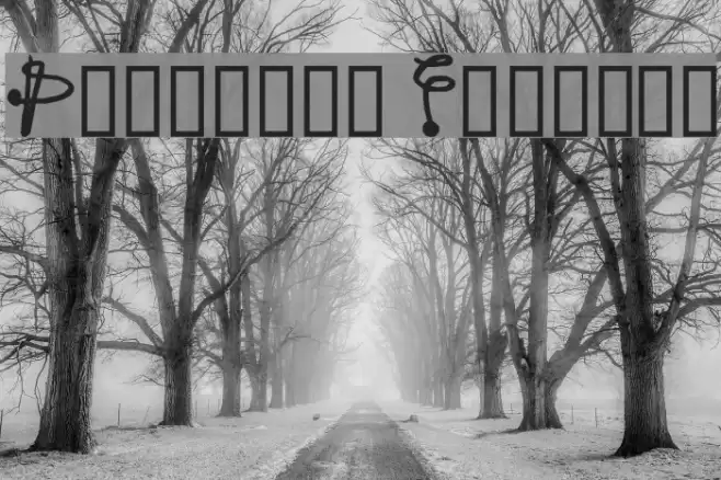 Protonic Feelers Font examples