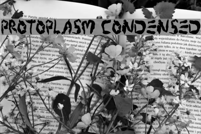 Protoplasm Condensed Font examples