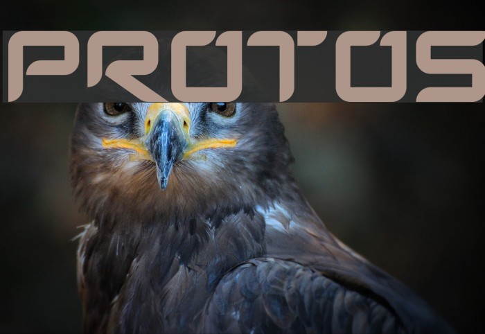 Protos Font examples