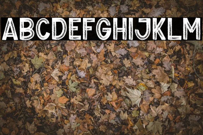 Proud-Regular Font examples