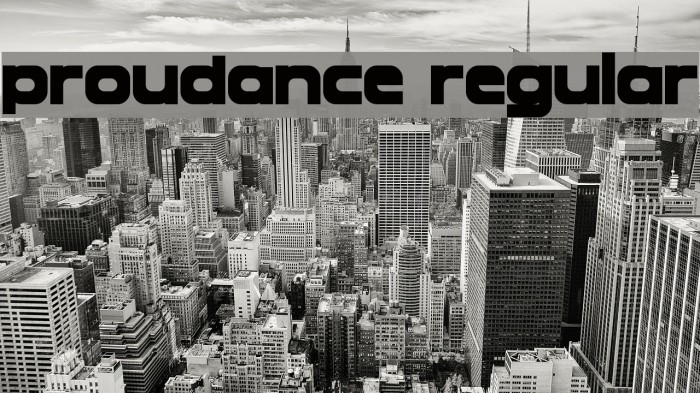 Proudance Regular Example 1