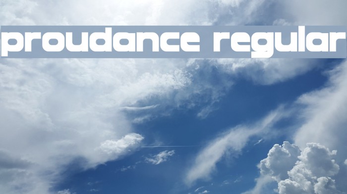 Proudance Regular Example 2