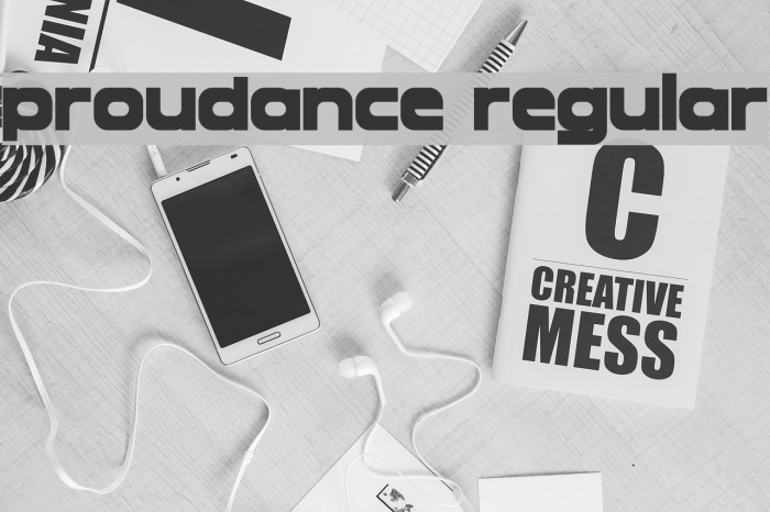 Proudance Regular Example 3