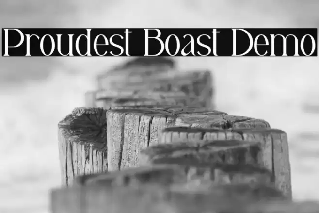 Proudest Boast Demo Font examples