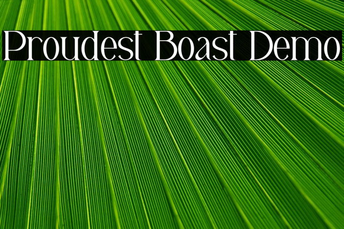 Proudest Boast Demo Example 2