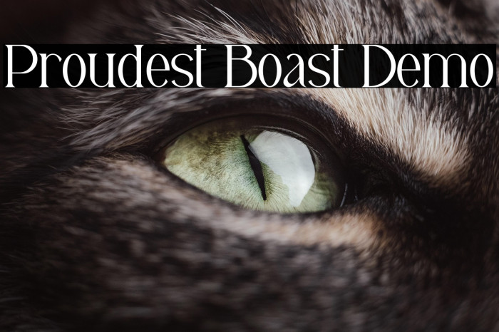 Proudest Boast Demo Example 3