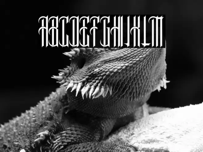 ProvidenceRI Font examples