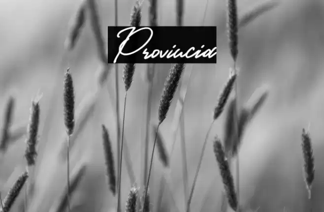 Provincia Caratteri examples