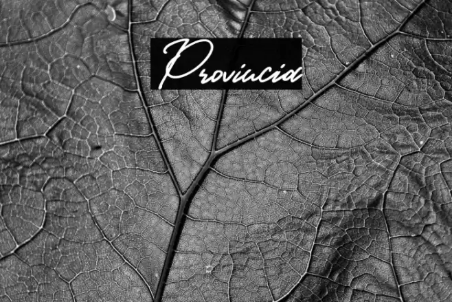 Provincia Caratteri examples