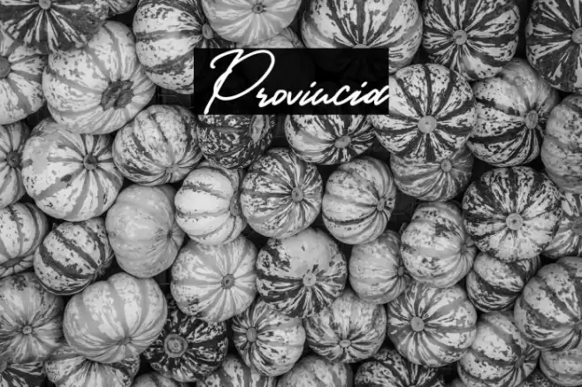 Provincia Caratteri examples