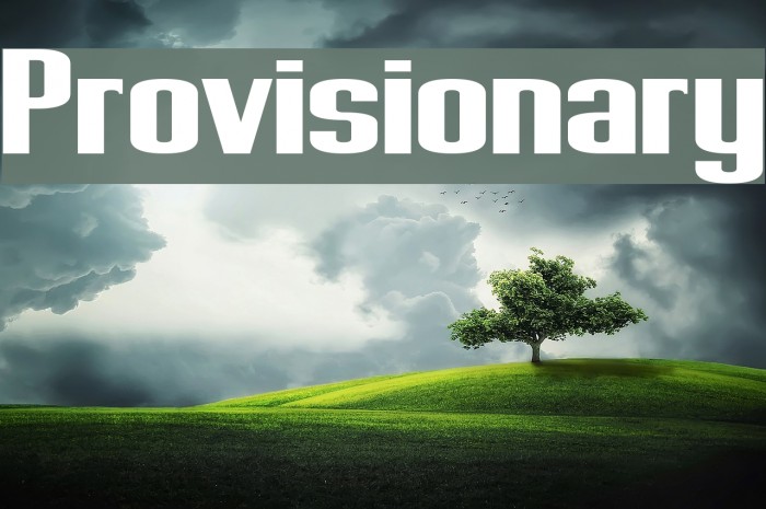 Provisionary Font examples