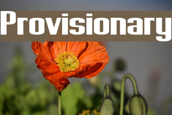 Provisionary Font examples