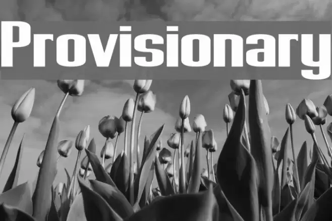 Provisionary Font examples