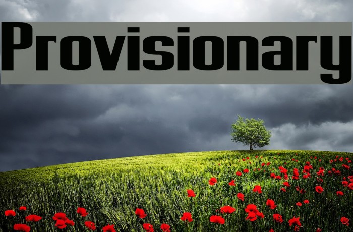 Provisionary Font examples