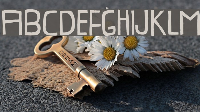 ProvokateurDEMO Example 1