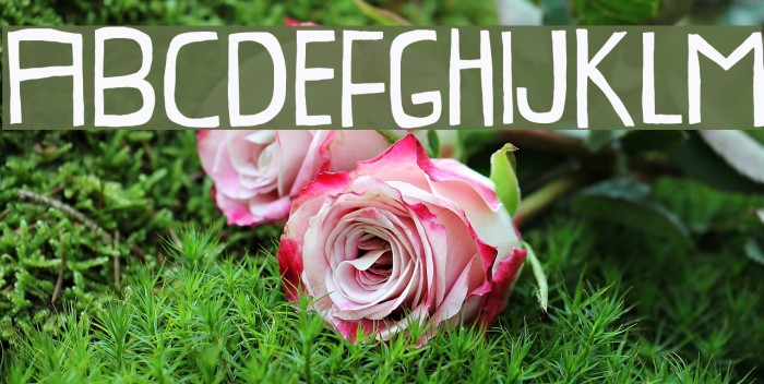 ProvokateurDEMO Example 2