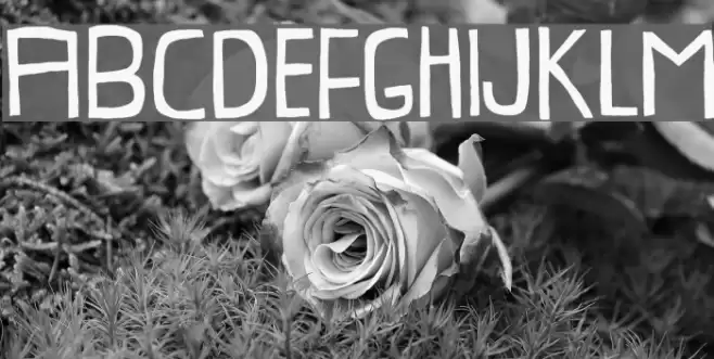 ProvokateurDEMO Font examples