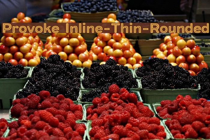 Provoke Inline-Thin-Rounded Font examples