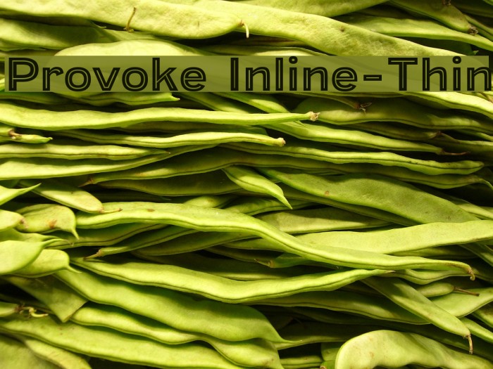 Provoke Inline-Thin Font examples