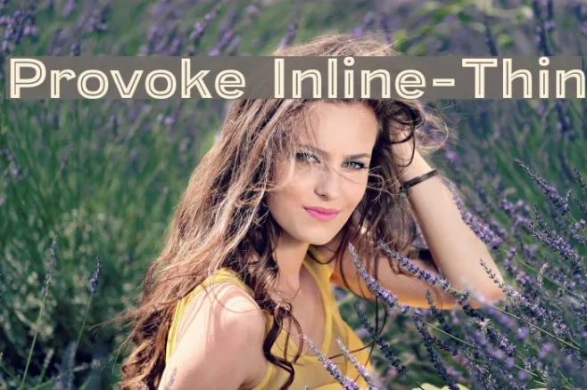 Provoke Inline-Thin Example 2