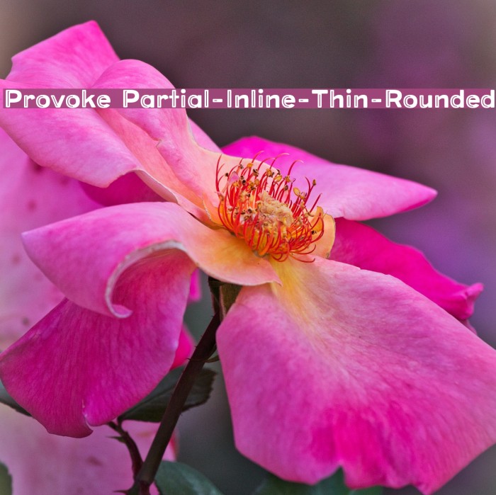 Provoke Partial-Inline-Thin-Rounded Font examples
