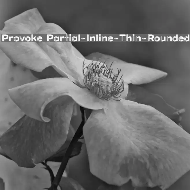 Provoke Partial-Inline-Thin-Rounded Font examples