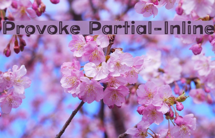 Provoke Partial-Inline Font examples