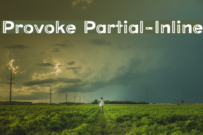 Provoke Partial-Inline Font examples