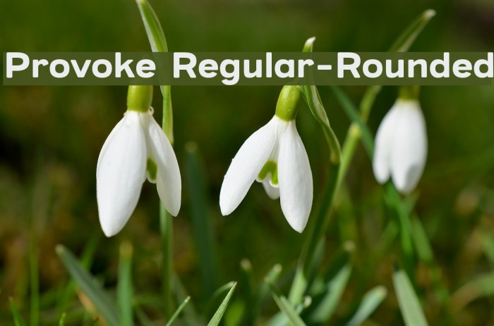 Provoke Regular-Rounded Example 1